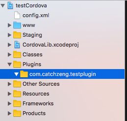 基于Cordova开发iOS应用 插件开发与应用软件构建全攻略