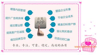 安卓手机应用软件开发全解析 厂商选择与价格因素